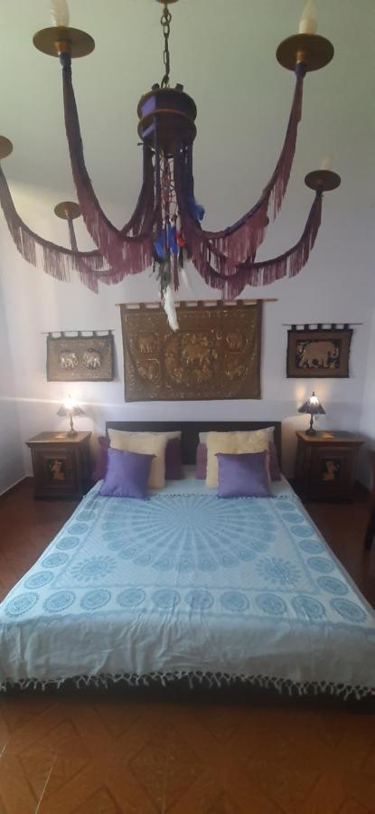 Apartament La Stanza Di Vema Massarosa Zewnętrze zdjęcie